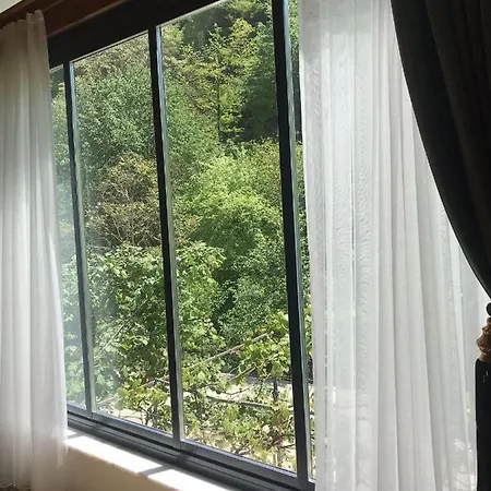 Yesildere 2 Hotel 4*